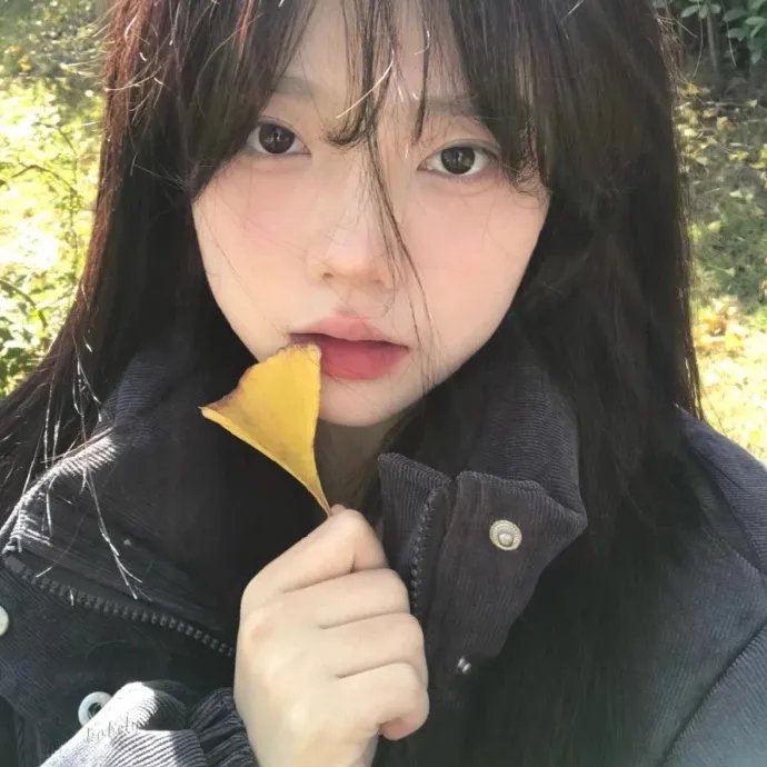 完美的人